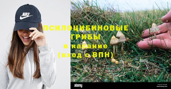 шишки Алексин