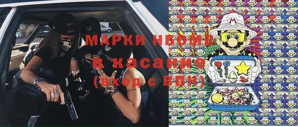 гашик Алексеевка