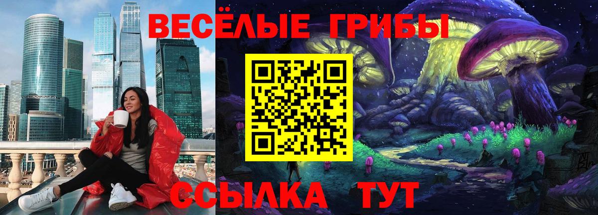 Сорочинск  Псилоцибиновые грибы прущие грибы  Вход с VPN 